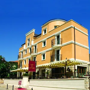 Hotel Cittar ***